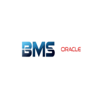 BlueMojo Solutions