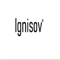 Ignisov Consulting Services