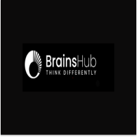  Brains Hub