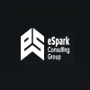 eSpark Consulting Group
